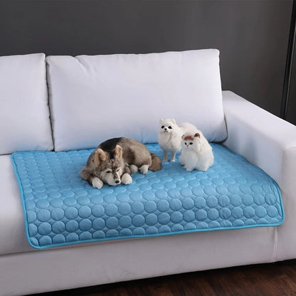 Tapete refrescante para cães