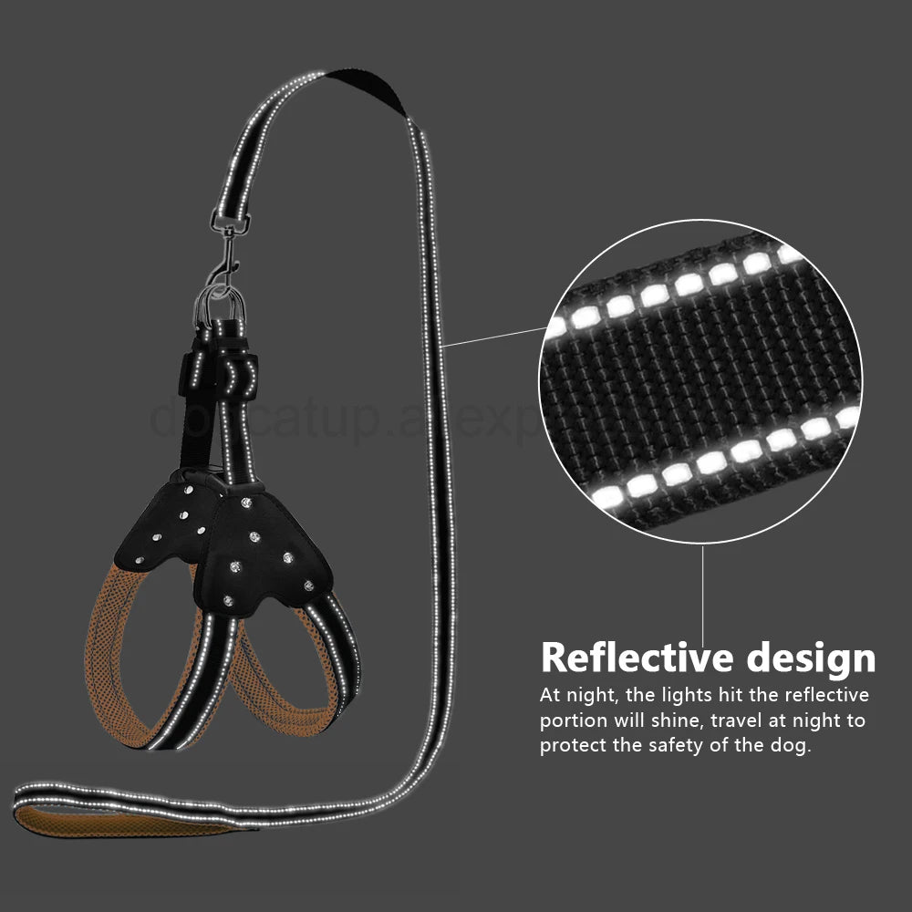 Conjunto de colete e guia refletivos para cães de estimação