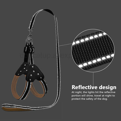 Conjunto de colete e guia refletivos para cães de estimação