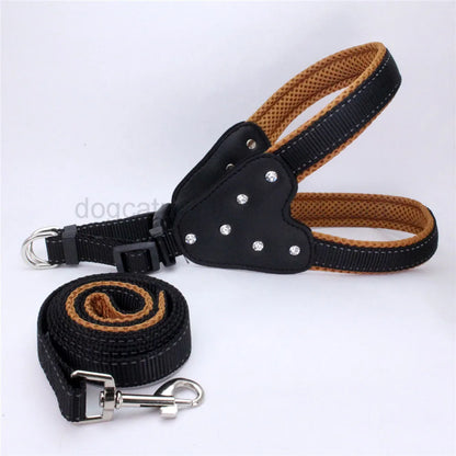 Conjunto de colete e guia refletivos para cães de estimação