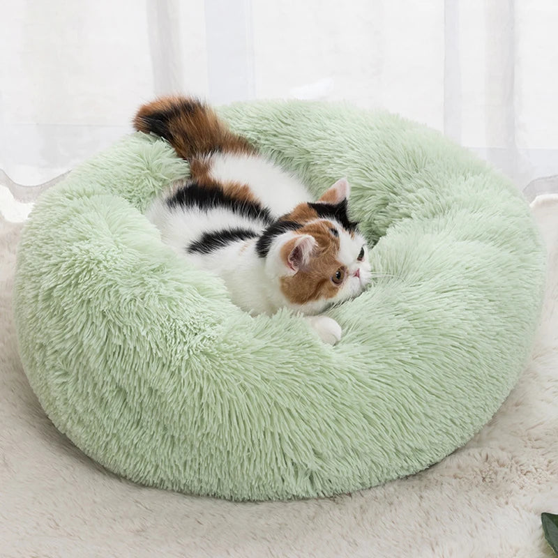 Cama para cães de estimação, confortável